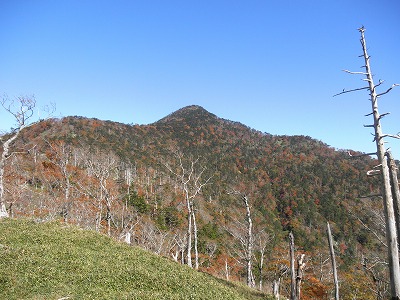 f0057070_8455853.jpg