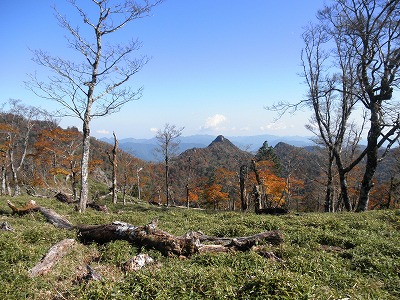 f0057070_8461192.jpg