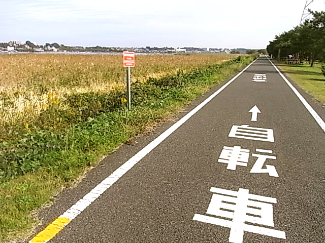 a0120372_2155395.jpg
