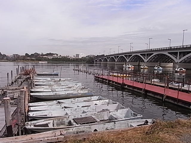 a0120372_21564417.jpg