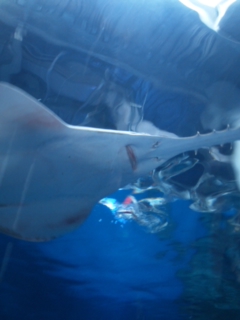 e0085672_262073.jpg
