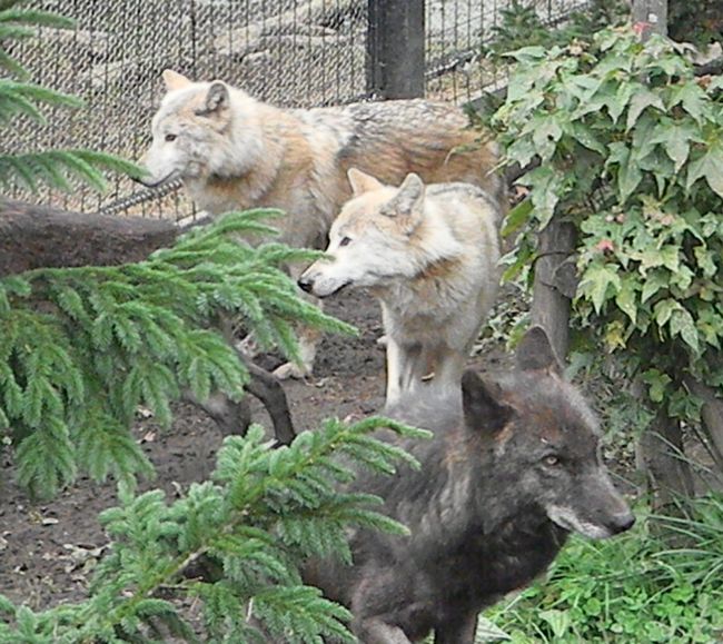 b0014576_6312923.jpg
