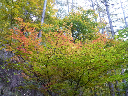 a0224279_12114192.jpg