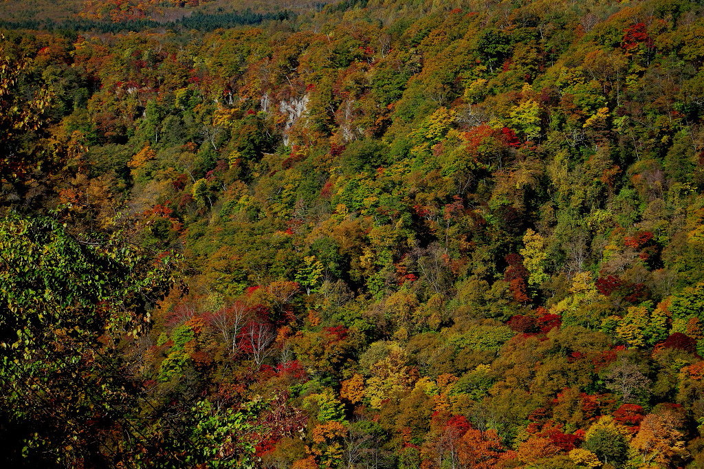 a0160581_19333423.jpg