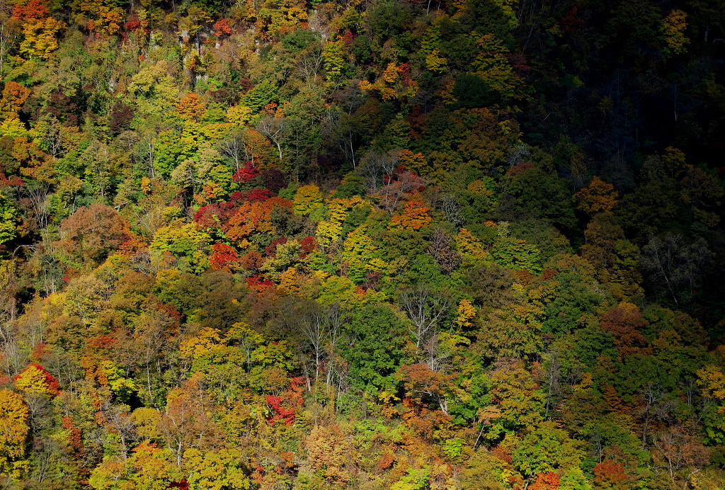 a0160581_19334234.jpg
