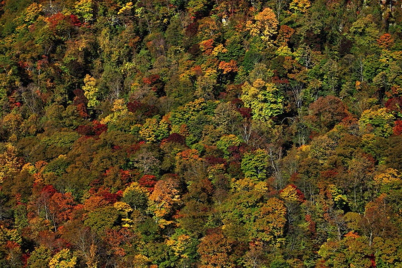 a0160581_1934153.jpg