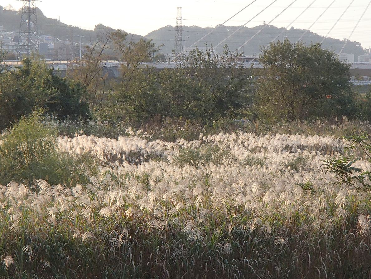 【和田峠】ノープランでゴーゴー【大垂水峠】_b0012281_1893391.jpg