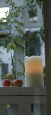 f0166982_21124030.jpg