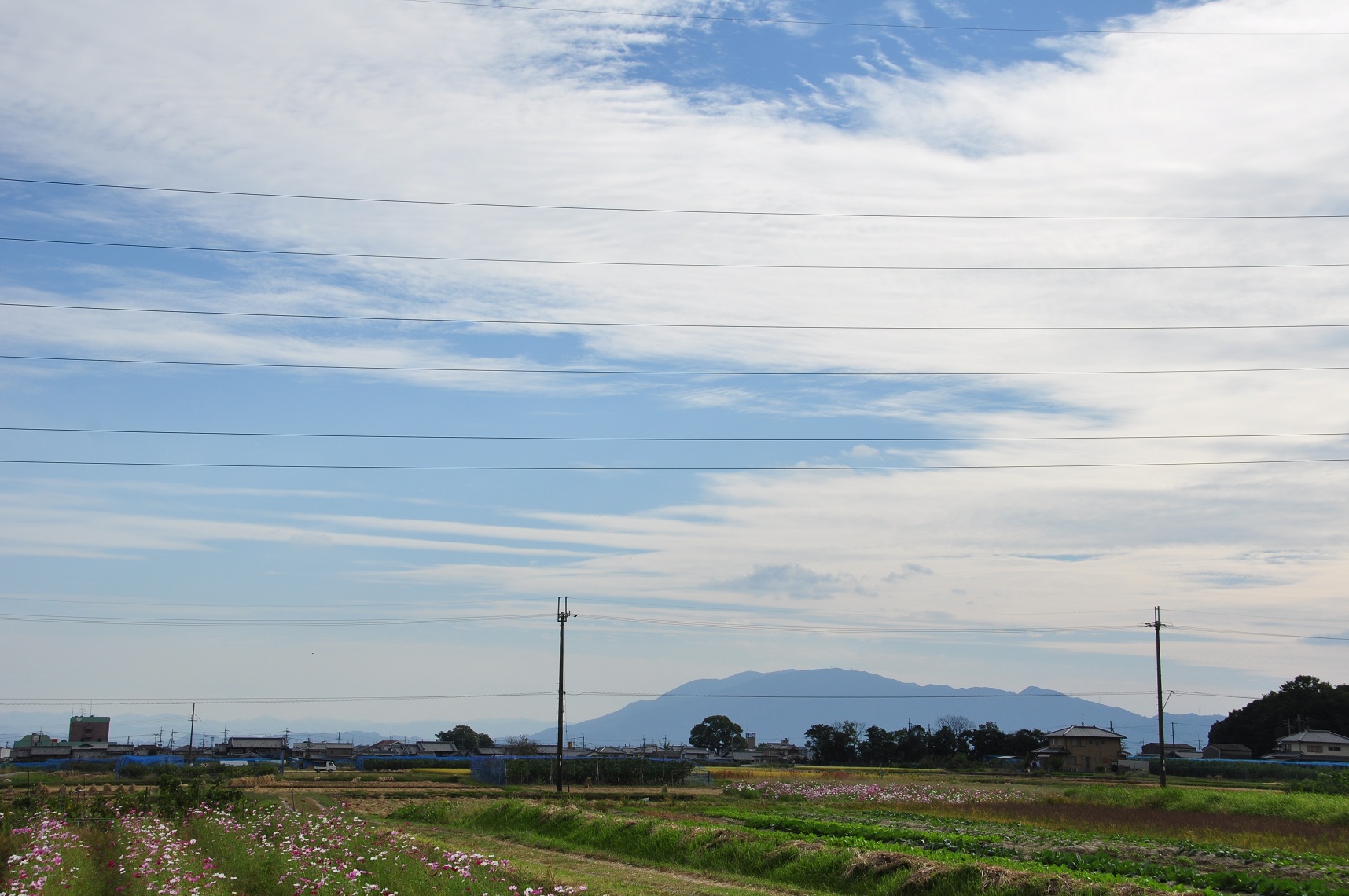f0225982_22233654.jpg