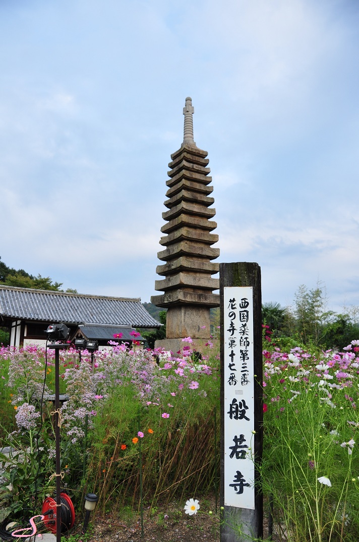f0225982_2228283.jpg
