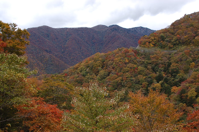 深山園地の紅葉_b0203588_18252795.jpg