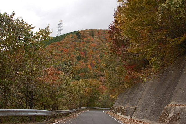 深山園地の紅葉_b0203588_18272891.jpg