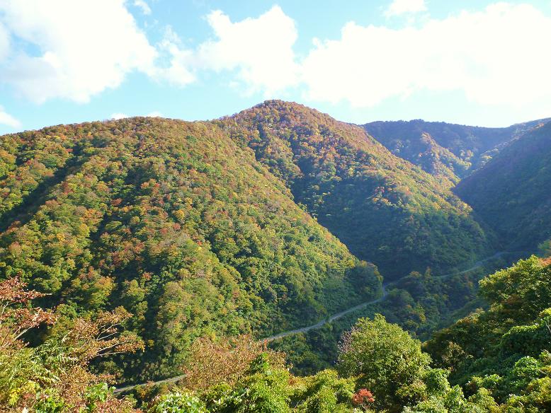 d0182188_2195613.jpg