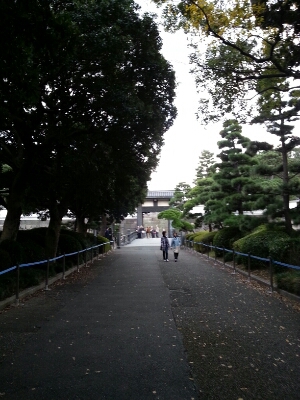 美術館_c0204289_2334585.jpg