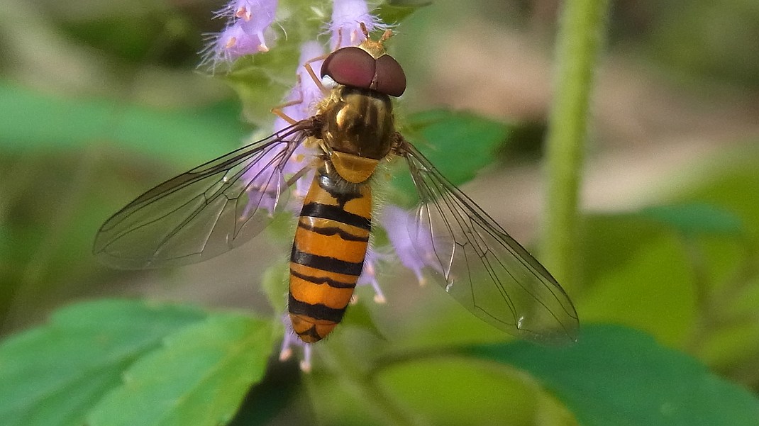 a0152692_183109.jpg