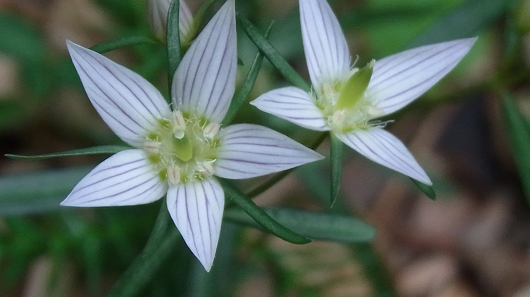 a0152692_18335777.jpg