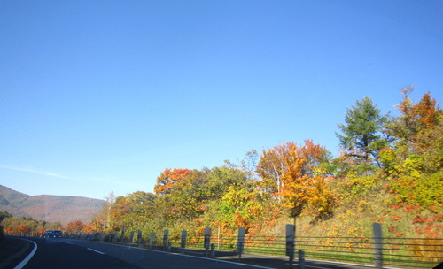 a0194593_20213145.jpg