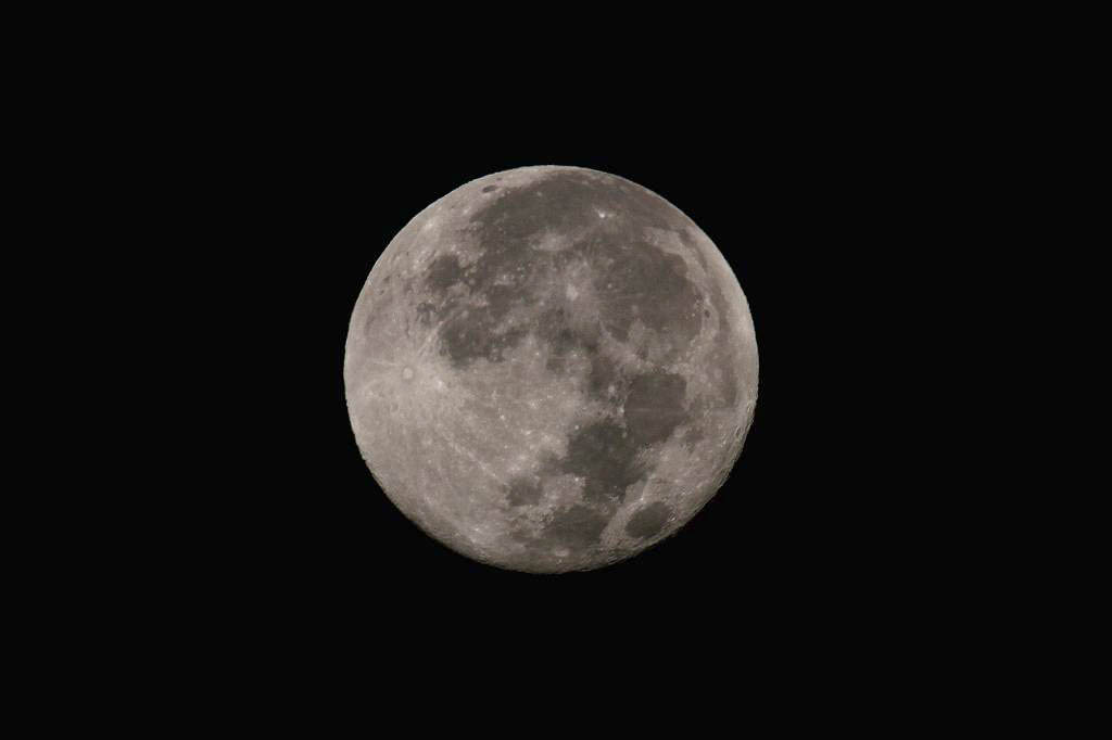 b0024798_9444362.jpg