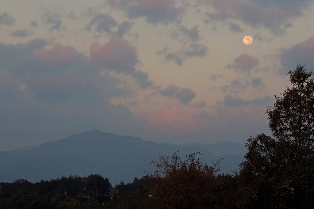 b0024798_9445541.jpg