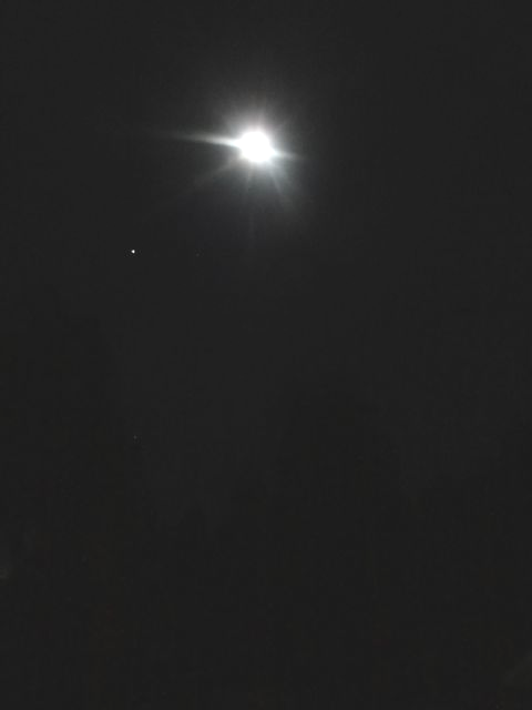 a0061599_23255375.png