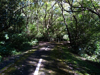 野山北公園自転車道_a0267399_12465477.jpg