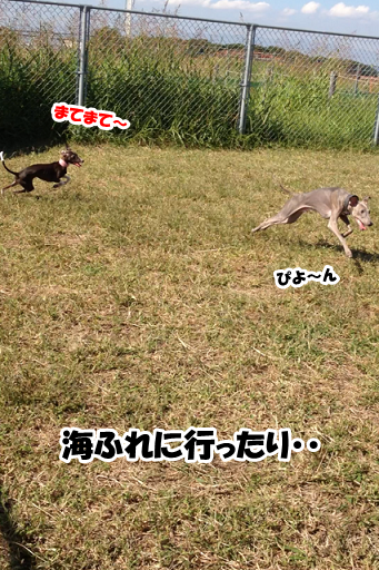e0290901_10415385.png
