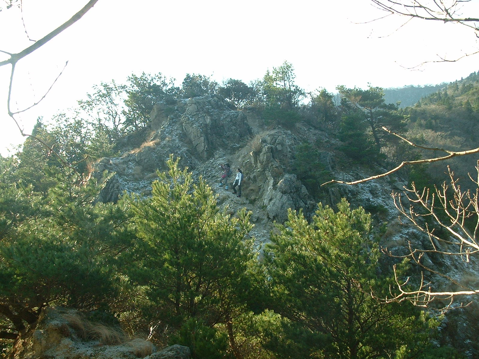 a0271502_111720.jpg