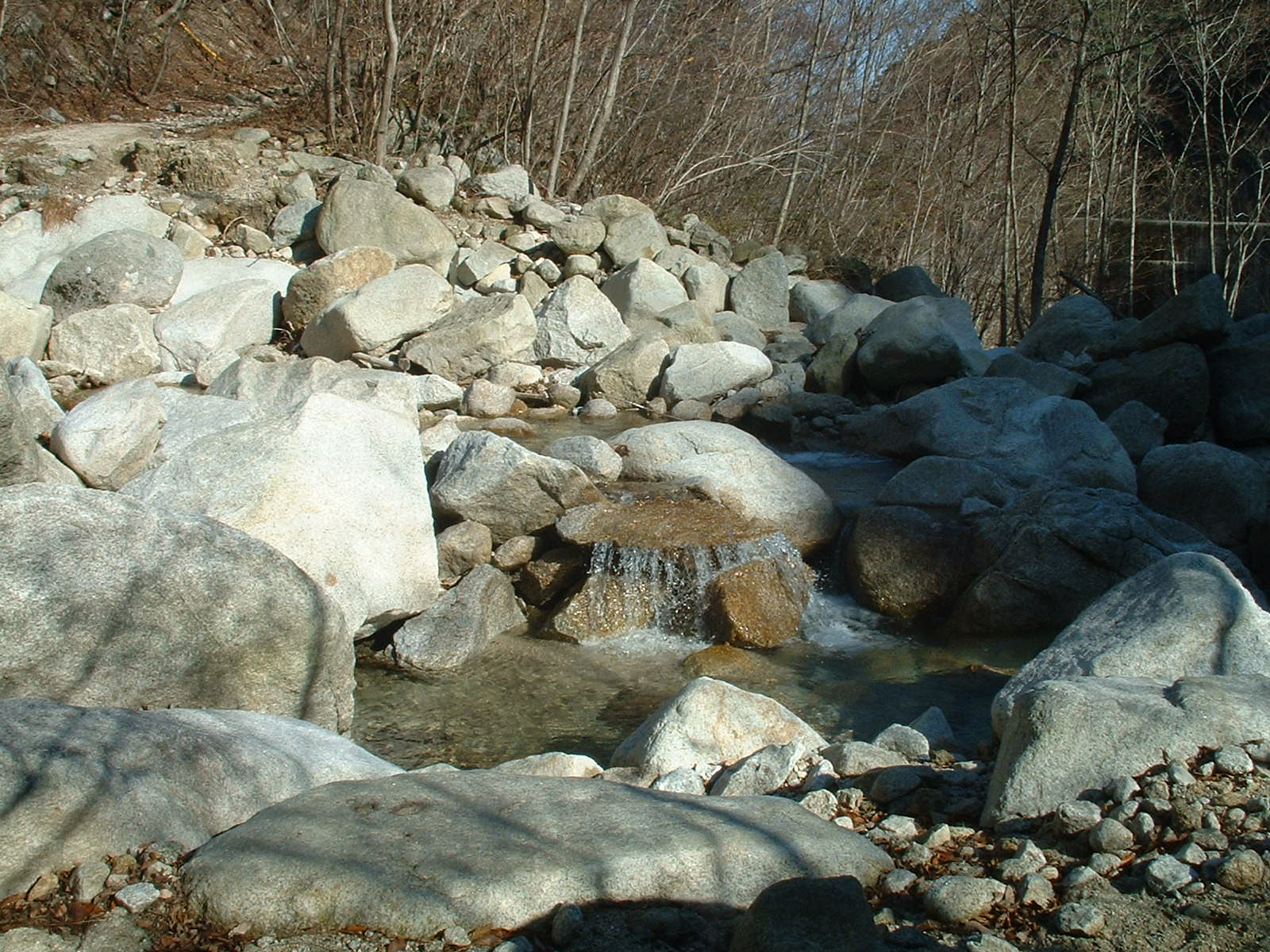a0271502_11372145.jpg