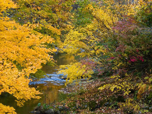c0008502_21253297.jpg