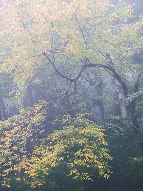 c0008502_21554689.jpg