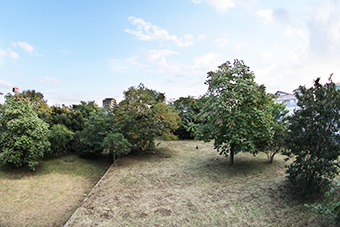 d0178602_17534261.jpg