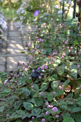 a0123003_2014613.jpg