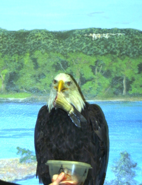 c0062603_20431978.jpg