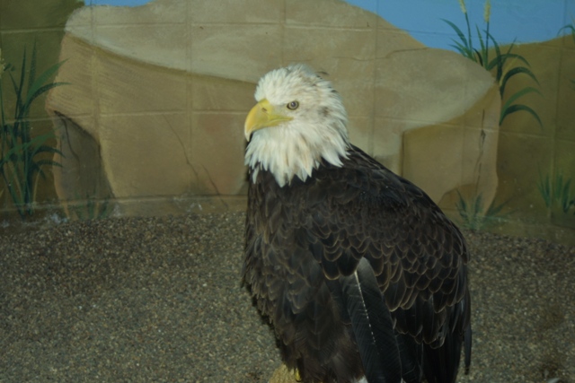 c0062603_20433871.jpg