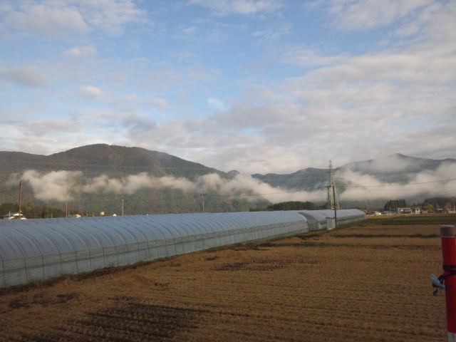 もう11月・・・_d0099708_13582080.jpg