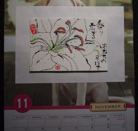 11月のカレンダー カサブランカ 花追い人の絵手紙いろいろ 11月のカレンダー カサブランカ 花追い人の絵手紙いろいろ