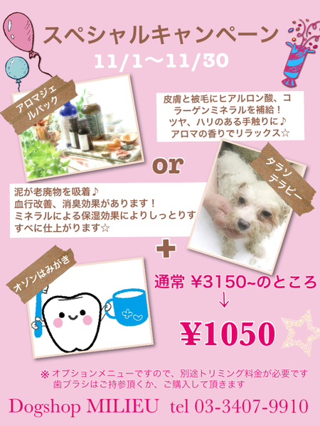 new エステメニュー!!_d0060413_2041762.jpg