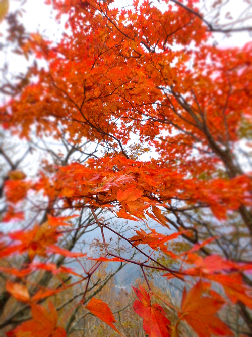 2012 秋の谷川縦走! 2日目_a0236914_7355719.jpg