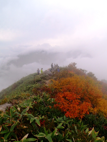 谷川馬蹄形縦走路―ガスの中の紅葉_c0177814_19151218.jpg