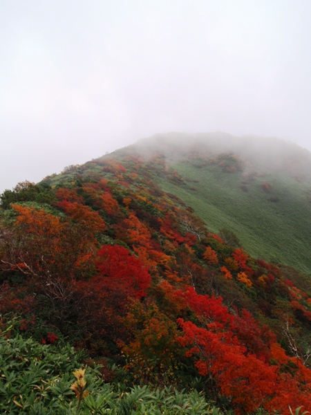 谷川馬蹄形縦走路―ガスの中の紅葉_c0177814_1921326.jpg