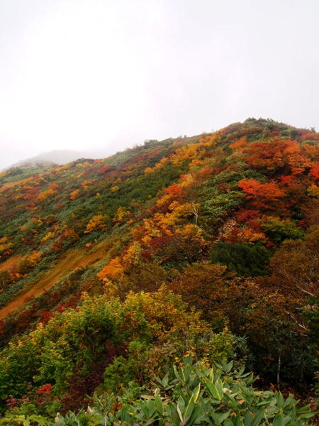 谷川馬蹄形縦走路―ガスの中の紅葉_c0177814_19215454.jpg