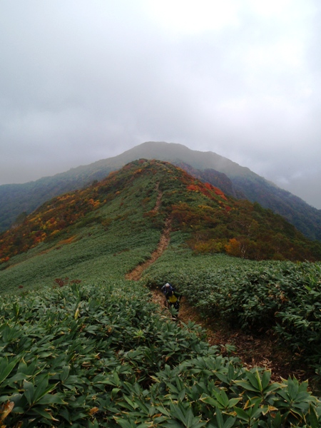 谷川馬蹄形縦走路―ガスの中の紅葉_c0177814_1940690.jpg