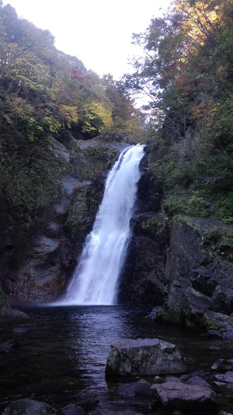 二口峠の塩竈大明神碑と三方倉山でキノコの満艦飾_a0127015_22383455.jpg