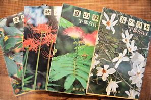 植物新入り 11・1_d0263815_1625080.jpg