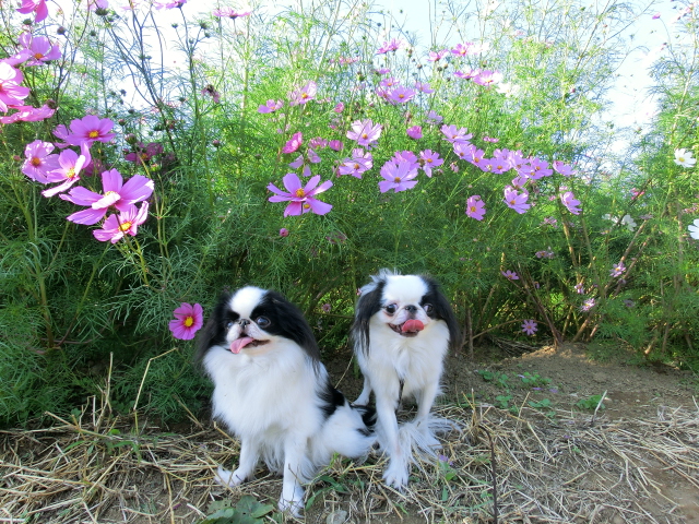 c0200916_23185049.jpg