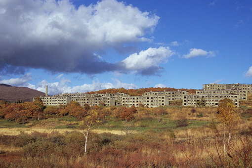 八幡平松尾鉱山跡地・2012.10.24~キツネ~_b0259218_514923.jpg