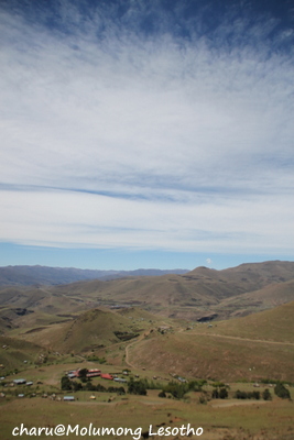 d0074518_23462361.jpg