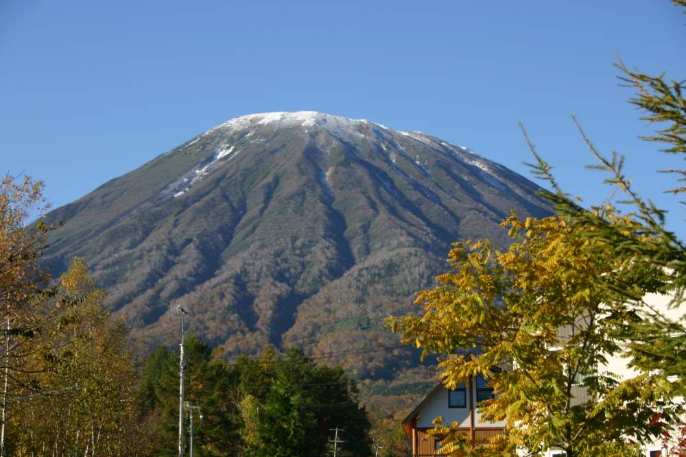 最後の花・トリカブト_d0143719_9302470.jpg