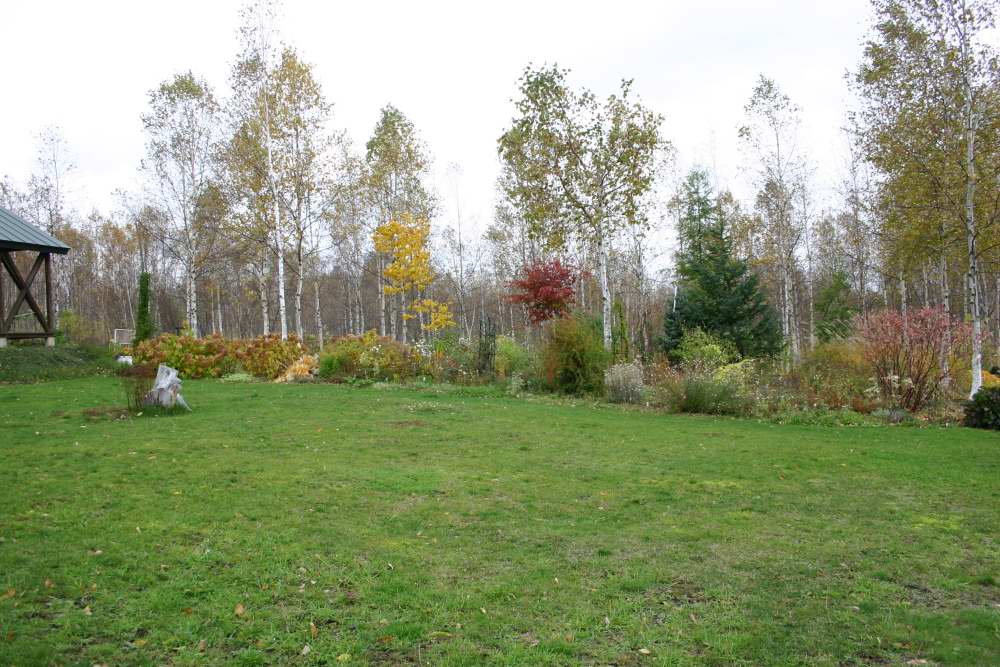 d0143719_9404944.jpg