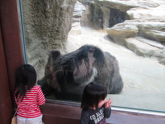 Sacchanと王子動物園_f0205826_11123198.jpg